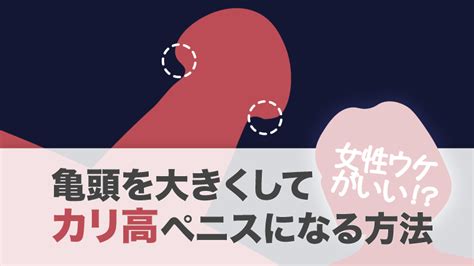 ちんこカリとは|亀頭・ペニスの形は3つの種類がある。先細りからツ。